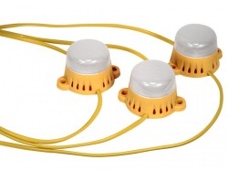 Lighthouse LED Festoon Lights 22M 10 Bulbs 110V